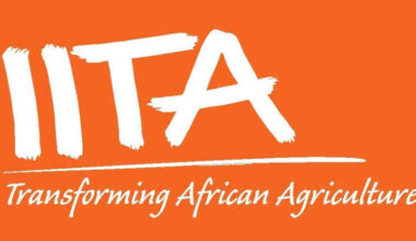 International Institute of Tropical Agriculture (IITA) Graduate Internship Program 2025 | Fully Funded Opportunities for Young Nigerian Graduates
